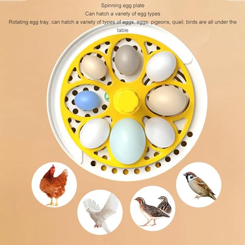 Dpofirs Small Incubators for Hatching Eggs, Mini Egg Incubator for Home Automatic Temperature Humidity Control Eggs Candler Poultry Hatching Machine for Chickens Ducks Pigeons (Manual - size: Manual Turning