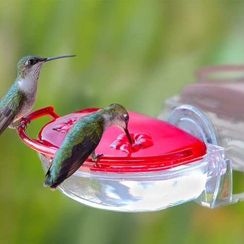 Aspects ASPECTS437 The Gem Window Hummingbird Feeder