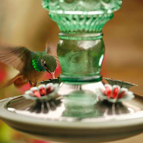 Perky-Pet Antique Glass Bottle Hummingbird Feeder, 10 oz Capacity, Green | 4 Feeding Ports for Outdoors Hanging Bird Feeders, Backyard Garden Décor - style: Green Bottle