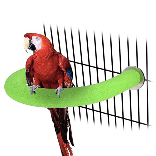 Rypet U-Shaped Large Parrot Perch, Quartz Bird Perch for Cage(Green XL) | Safe Chew & Rest Perch for Large Birds, Durable Non-Toxic Cage Accessory, for Parakeets Cockatiels Conures Macaws - color: Green, size: X-Large