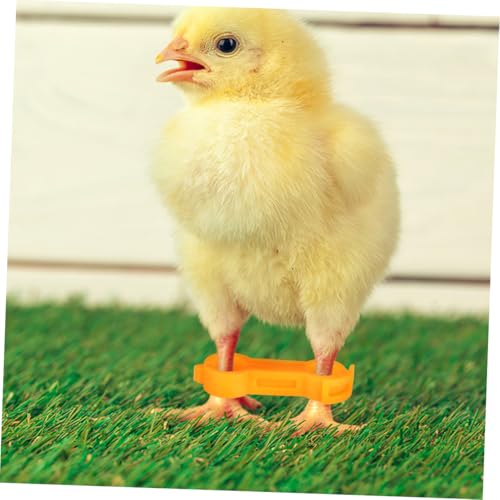 Toddmomy 15pcs Chick Leg Correction Bands PVC Splay Leg Fix for Chicks Quails Ducks Parrots Durable and Reusable for Poultry