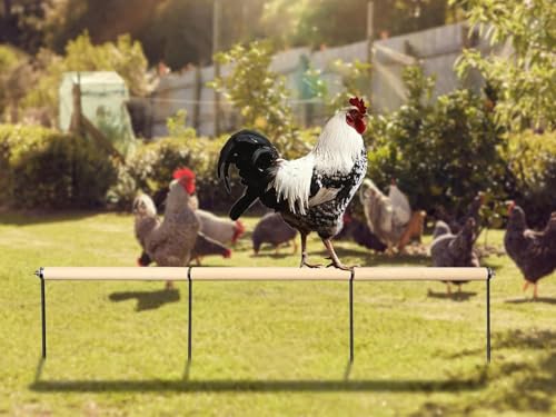 Extra Long Chicken Perch Toys, Wooden Chick Perch Stand with Metal Ground Plug, Outdoor Birds Training Platform, Chicken Coop Accessories, Suitable for Poultry Rooster Chicks Large Bird Chicks Parrot - size: 44.9 Inch Long