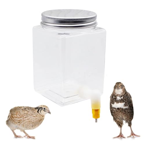 Button Quail Water Feeder Automatic Drinker with Versatile Nipple
