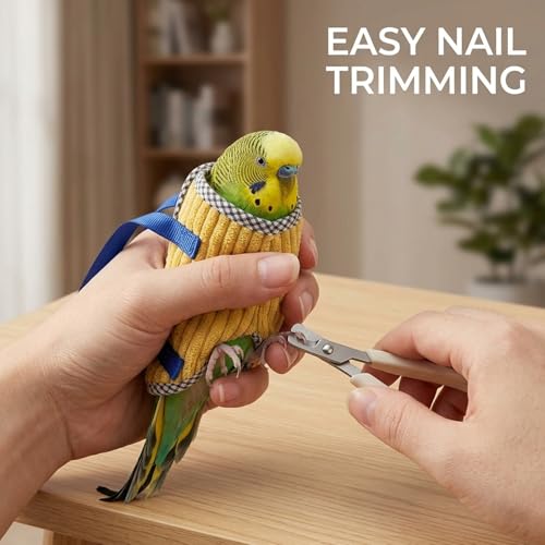 Comfortable Fabric Design Bird Diaper Flight Suit for Small Medium Parrots, Easy to Use Bird Leash for Outdoor Activities, Durable and Secure Bird Walking Accessory