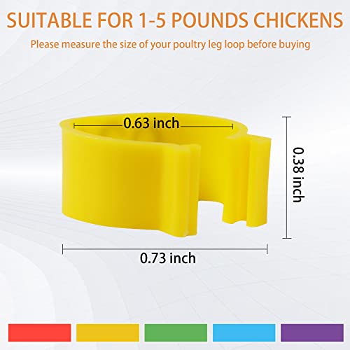100Pcs Chicken Leg Rings with 5 Color, 16mm Numbered Chicken Identification Leg Bands Clip Poultry Ankle Bands for Bantam, Duck, Guinea and Medium Birds - size: 16mm