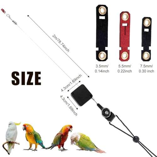Retractable Bird Harness, 6.56ft Training Leash with 3 Sizes of Foot Rings - Parakeet & Parrot Leash Kit for Cockatiels, Budgies (Black) - color: Black