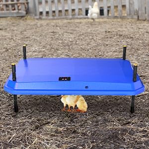 Chick Brooder Heating Plate, Brooder Heater for Chicks, Adjustable Temperature Height Adjustable Brooding Heater, Brooder Heat Plate Warmer for Baby Chick Duckling (Blue) - color: Blue