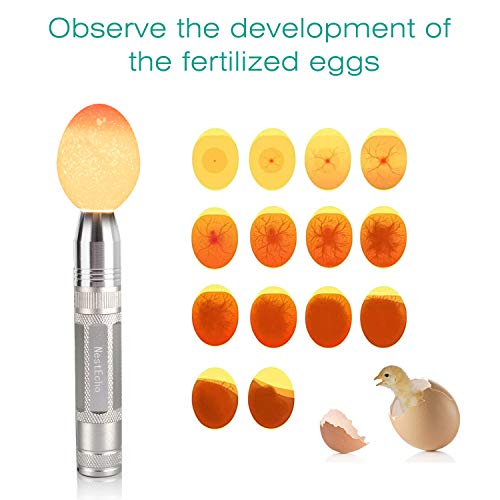 Egg Candler Light Tester Egg Candler Tester Candling Lamp for All Egg Typy
