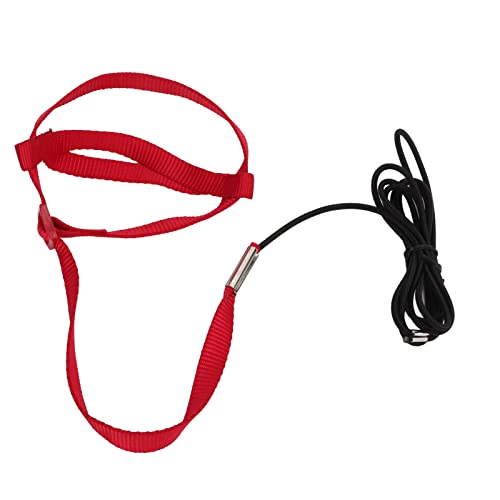Elastic Parrot Harness Leash Bird Leash Bite Proof Harness Adjustable Parrot Flying Training Rope with Metal Hook Nylon Webbing for Cockatiels Walking (L) - size: L