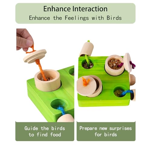Birdie Puzzle Feeder - Interactive Foraging Toy for Parrots, Parakeets, Cockatiels, Conures | Mental Enrichment & Stimulation Game to Prevent Boredom (Green) - color: green