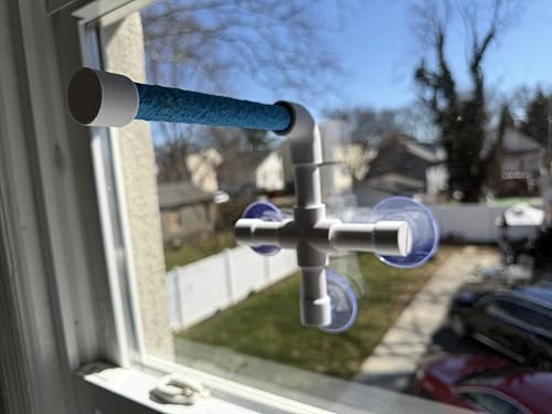 CleanPerch™ Window Bird Perch with Suction Cups. Grooming & Outside Viewing Perch for Parrots, Conures & Small Birds. Window-Mounted Bird Stand (White/Blue, 6") - color: Blue, size: 6"