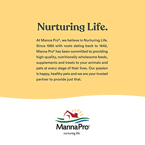 Harris Farms Poultry Feeder | Manna Pro Chicken Feed, Free Range Hanging Chicken Feeder, Chicken Feeders Galvanized | 30 Pounds - size: 30 lb