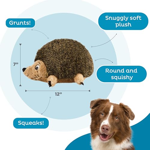 Outward Hound Hedgehogz Plush Dog Toy, Squeaks & Grunts, Large, 12" x 7" | Soft Realistic Faux Fur, Round for Rolling & Chasing, Cuddle & Carry, Interactive Fetch, Light Chewers, Dogs & Puppies - size: Large (Pack of 1)