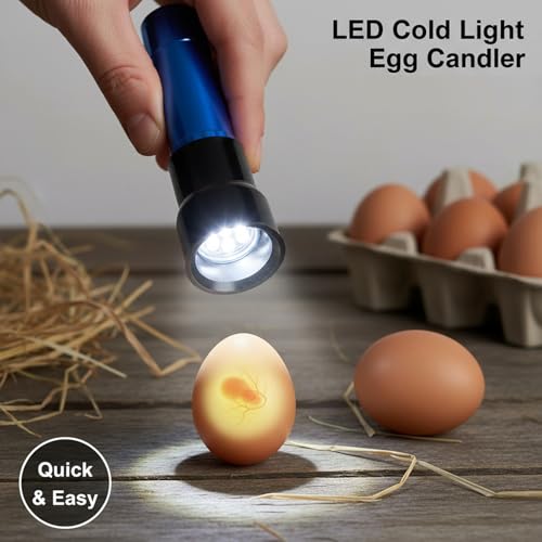Egg Candler Candling Light Egg Development Tester Flashlight for Chicken Duck and Goose Eggs, 2PCS(Blue)