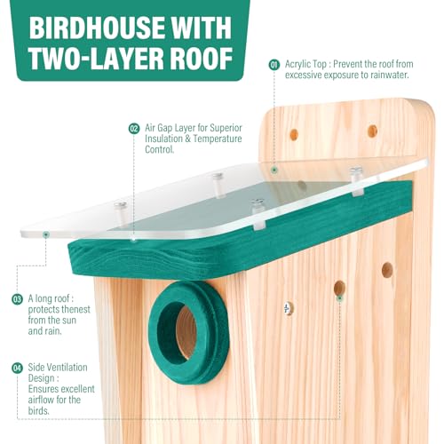 2-Pack Cedar Bluebird House for Outdoors, 1.5" Entry, DIY Kit | 3/4-inch Thick Wood With Double-Layer Roof, Cleaning Door & Assembly Guide; Ideal For Chickadees & Wrens - style: Contemporary