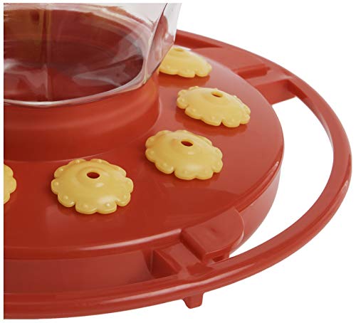First Nature 993091-546 16 oz. Hummingbird Flower Feeder , Red | Bright Flower Ports Attract Birds - Round Bottom Perch Fits Multiple Birds - See-Through Tank Shows Nectar Levels - size: 16 ounce
