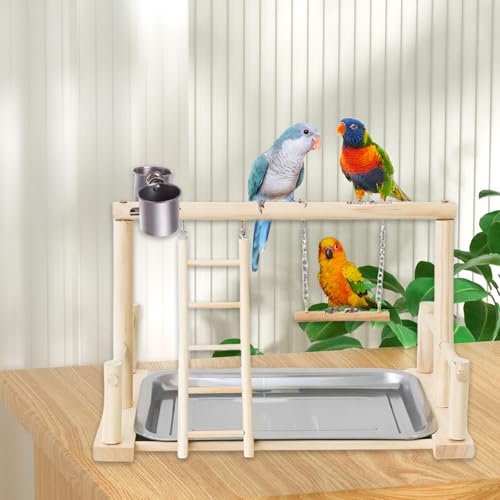 Bird Playground, Natural Wood Bird Perch Stand with Removable Tray and 2 Stainless Steel Feeder Cups, Parrot Playstand Bird Cage Toys for Conure Parakeet Cockatiel Parrot (B) - color: B