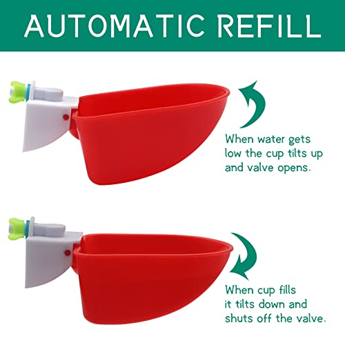 5 Pack Chicken Waterer,Large Plastic Automatic Chicken Waterer Cups kit, 3/8 Inch Thread Poultry Drinking Bowl for Ducks, Birds, Bunny, Quail etc