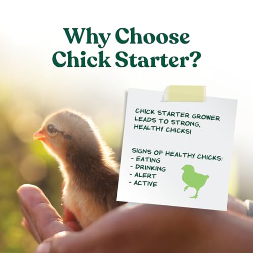 Manna Pro Medicated Chick Starter Grower Feed, Amprolium & Protein, 5 lb | Complete Chick Feed Crumbles, Amprolium for Coccidiosis Prevention, High Protein Nutrition for Growing Chicks, Made in USA - size: 5 Pound (Pack of 1)