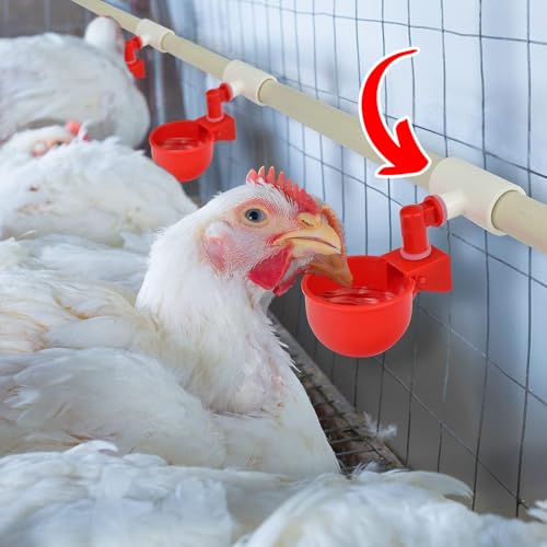 (6 Pack) Chicken Waterer PVC Tee Fittings For Threaded Poultry Watering Cups - Schedule 40 PVC 1/2 inch Slip X 1/2 inch Slip X 1/8 inch FPT