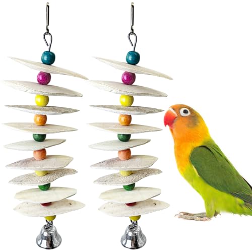 PINVNBY 2 Pack Natural Bird Toys with Cuttlebone Calcium Parakeet Chewing Toy Hanging Bird Beak Grinding Stone Cage Accessories for Parrot Budgie Lovebird Cockatiel (Large) - size: Flaky