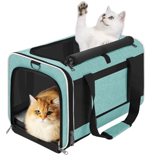 GAPZER Large Cat Carrier Soft, Collapsible Travel Pet Carry Bag, Small Dogs | Big Kitten Cat 20lbs Mainecoon, Top Open Travel Shih-Tzu Pet Kennel, Yorkie Small Dog 10 Pounds, 18x12x12, Durable Cloth Teal - color: Turquoise