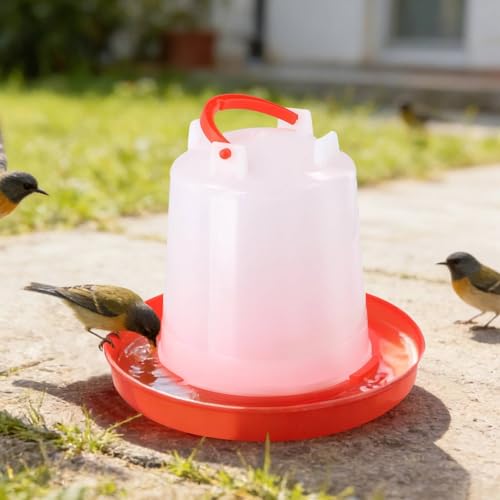 4-Pack Chick Waterer, 1L Poultry Water Feeder, Poultry Drinker with Handle, Chicken Water Dispenser，Chicken coop Water Feeder for Chickens, Turkeys, Ducks and More