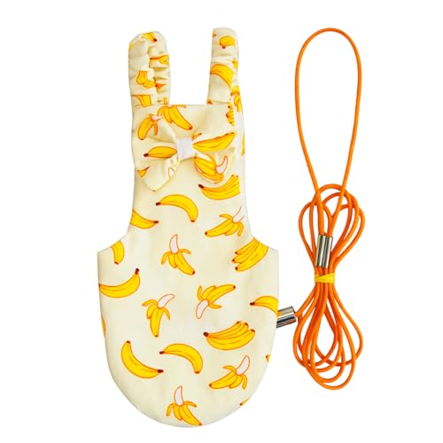 Bird Diaper and Leash Set with Harness | Cockatiel/Sun Conure/Quaker Parrot Diaper Leash, Medium Bird Flight Suit Set for Outdoor Flying & Training (M)