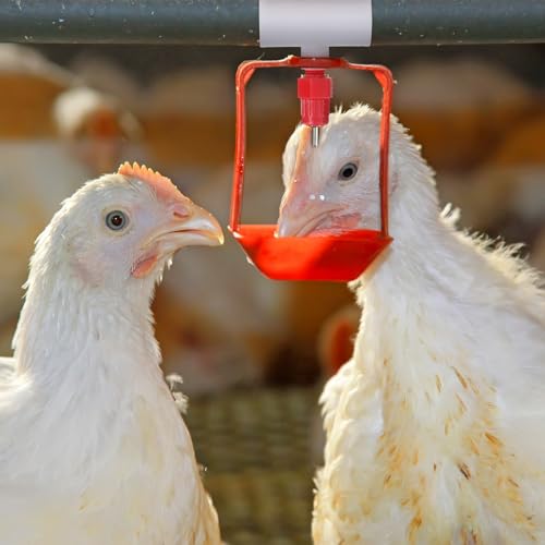 Outus 100 Pack Chicken Waterer PVC Tee Fittings, Fully Automatic Poultry Waterer PVC Fittings for Threaded Chicken Water Nipples, Cups, Drinker, Feeder, Duck, Quail, Turkey Coop Accessories, White