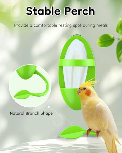 Pawfly 2 Pcs Bird Cuttlebone Holder, Cuttlefish Bone Parrot Feeding Rack, Hanging Bird Feeder with Perch, Plastic Holder for Fruits Vegetables Treats, Feeding Rack for Cockatiels