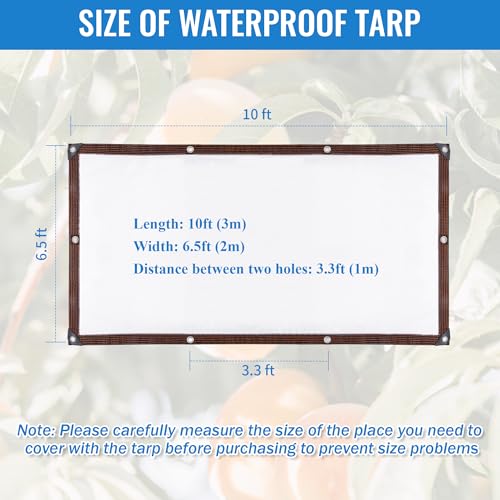 6.5 x 10 FT Clear Thicken Waterproof Tarp, Rainproof Covering, Heavy Duty Anti Tear Tarp with Grommets, Windproof and Snowproof Poly Tarpaulin for Patio, Plants, Henhouse, Garden, Porch - size: 6.5 x 10 FT