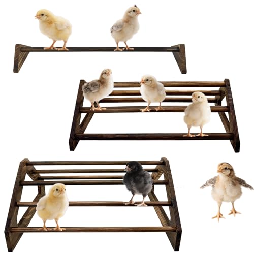 Chicken Perch 3 Pack Chick Toys Wooden Roosting Bar Chicken Coop Accessories for Brooder Training Perch for Baby Chick, Bird Parrot Easy to Assemble and Clean