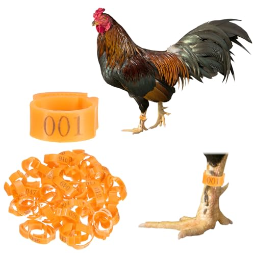 M METERXITY 50-Pack Adjustable Chickens Leg Bands, 17-22 mm Plastic Poultry Identification Chicken Leg Rings for Turkey/Duck/Goose/Chicks, Colorful Numbered Foot Clip on Tags [Orange] - color: Orange