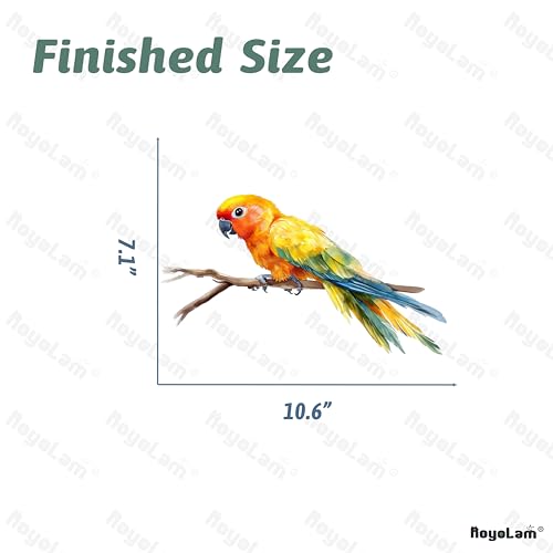 Colorful Parrot On A Branch Bird Wall Decal Animal Wall Sticker | Removable, waterproof, vinyl peel and stick wall art for nursery, baby room, classroom, preschool, living room, and playroom