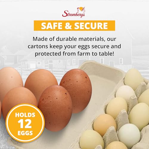 Stromberg's Large Blank Flat Top Chicken Egg Cartons, Perfect for Personalization, Eco-Friendly and Biodegradable, Made From Recycled Materials, Ideal for Farmers and Crafters, 100 Pack - size: 100