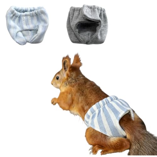 2 Pcs Squirrel Diapers- Reusable Washable Squirrel Diapers Absorbent with Strong & Flexible Pants for Squirrel,Fancy Rat,Groundhog Guinea Pig Small Sugar Glider (M)