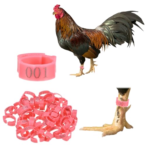 M METERXITY 50-Pack Adjustable Chickens Leg Bands, 17-22 mm Plastic Poultry Identification Chicken Leg Rings for Turkey/Duck/Goose/Chicks, Colorful Numbered Foot Clip on Tags [Pink] - color: Pink