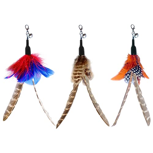 TTcat 10 Pack Cat Wand Toy Replaceable Refills, Realistic Bird Bee Insect Natural Feather Attachments with Bells, Detachable Clip-on Teaser Replacement for Cat Wand. - color: 10Pcs Clasic Refills