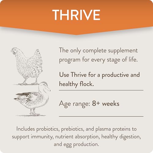 Thrive, Daily Probiotic & Prebiotic Water Supplement for Chickens 8+ Weeks Old, 8 oz (Pack of 2) - color: FlockLeader Thrive, size: 8 Ounce (Pack of 2)