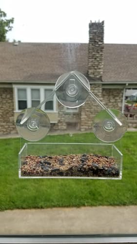 Window Bird House Feeder with Extra Strong Suction Cups Clear Bird Seed Holder for Outside Birdhouse Shape WMBF0001