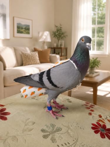 Macaw Pigeon Cockatoos Bird Diaper Harness and Leash (XXL) | Washable Reusable, Large Capacity, Large Parrot Diapers, Outdoor Flying Training - size: XXL