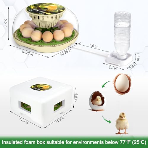 Smart Chicken Incubators for Hatching Eggs with Automatic Turner Small Poultry Duck Quail 12 Egg Incubator Temperature Control Display Hatcher Machine (Chirvy) - color: Chirvy