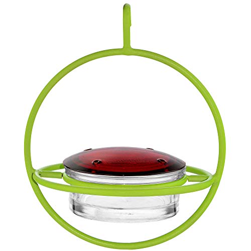 Hummingbird Feeder for Outdoors Hanging, 3.4 OZ Hummingbird Feeders, Glass Bowl with 4 Feeding Ports, Leak Proof Lid & Circular Perch, Bird Feeder (1, Lime) - color: Lime