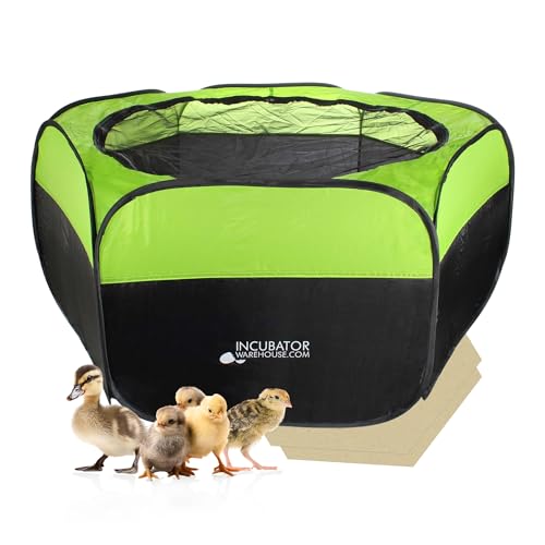 Insta Brooder™ for Hatchlings, Chicken Pop Up Playpen, 10.5 x 10 x 4 inches
