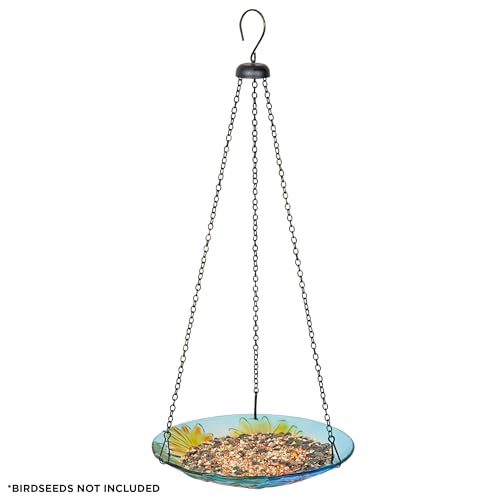 Alpine Corporation KBD126 Outdoor Hanging Glass Bird Feeder and Birdbath, Floral and Bee Bowl Design with Chain, 10" W - style: Floral and Bee