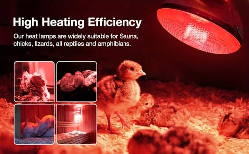 2 Pack 250W Heat Lamp Red Infrared Bulbs Glass Lamp Bulb for Food Service, Brooder Bulb, Chicks, Pet, Bathroom, Light Therapy Use E26 Base, Flood Light Heat Lamp. - color: Red-250w