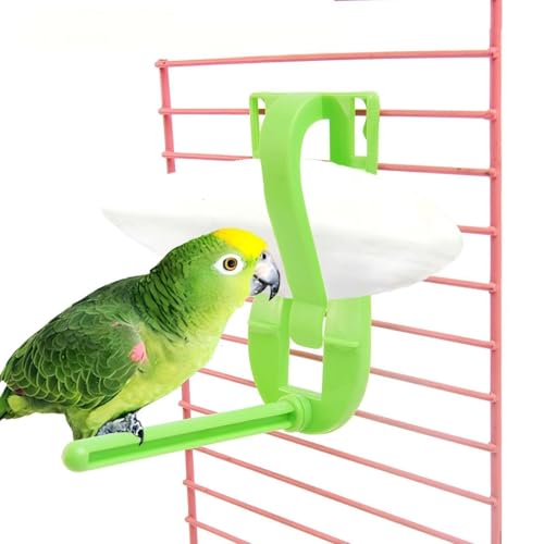 5.5"-7.1" inches Large Cuttlebone for Birds - 100% Natural Cuttlefish Bone Bulk Chew Toy Bird Bites Calcium Stone for Canaries Tortoises,Snails,Reptiles,Parrots,Cockatiel -3pcs - size: 3PCS