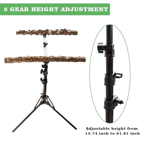 Oooct 16-63 Inch Height Adjustable Bird Perch Stand, Natural Pepper Wood Parrot Perch Toy, Bird Training Perch Stand, Indoor and Outdoor Bird Stands for Small to Medium Bird - size: Size B