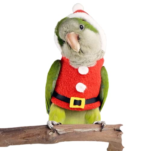Bird Clothes Birds Flight Suit, Christmas Hoodie for Parrots Cockatiel Sun Conure Christmas Party Cosplay Photo Prop Bird Shirt Small Animals Apparel (Without Diaper,Amazon) - size: Amazon