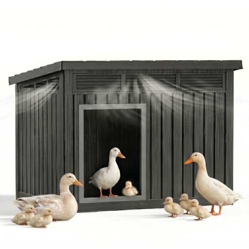 Large Chicken Coop with Hydraulic Air Rod, Resin Duck Coop with Elevated Floor and Air Vents, Backyard Poultry Pet Shelter with Weatherproof Openable Roof, for Chicken, Ducks, Rabbits, Black - color: Black, size: 42.9"L x 33.0"W x 31.6"H